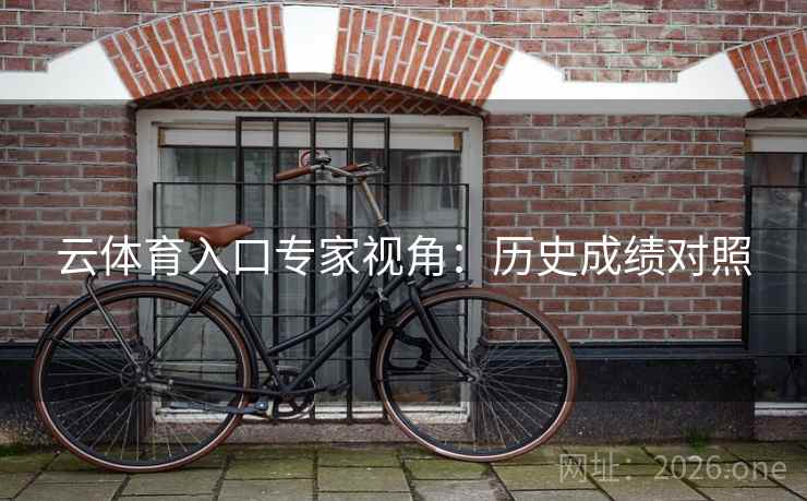 云体育入口专家视角：历史成绩对照