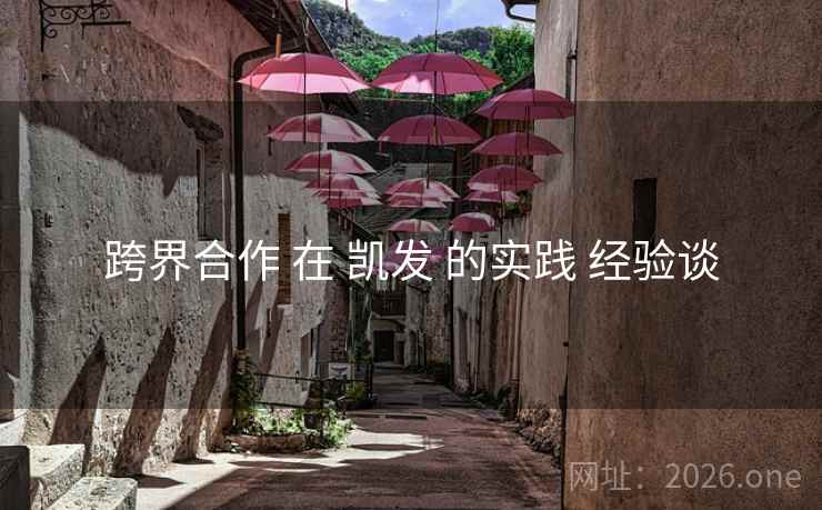 跨界合作 在 凯发 的实践 经验谈