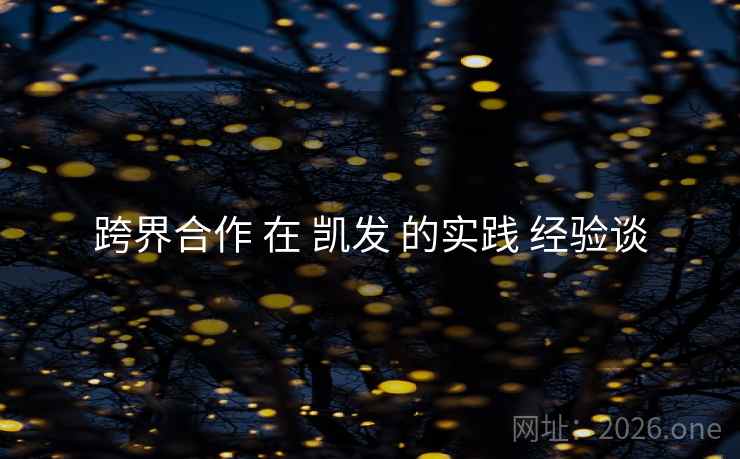 跨界合作 在 凯发 的实践 经验谈