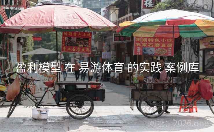 盈利模型 在 易游体育 的实践 案例库