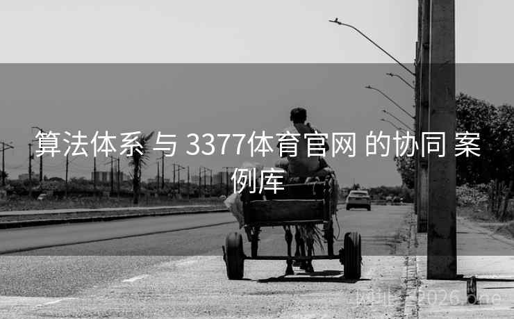 算法体系 与 3377体育官网 的协同 案例库
